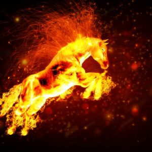 Fire horse