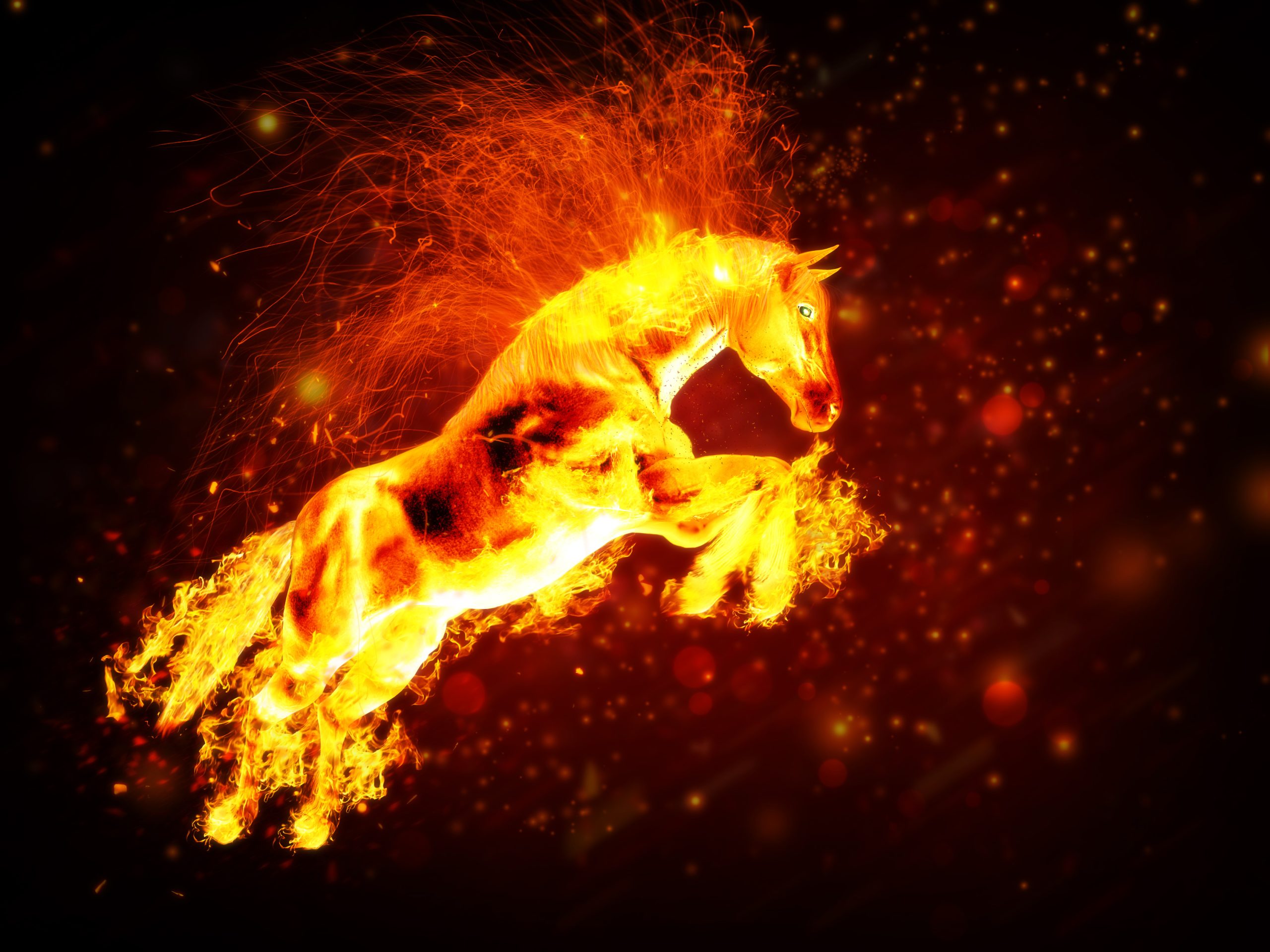 Fire horse